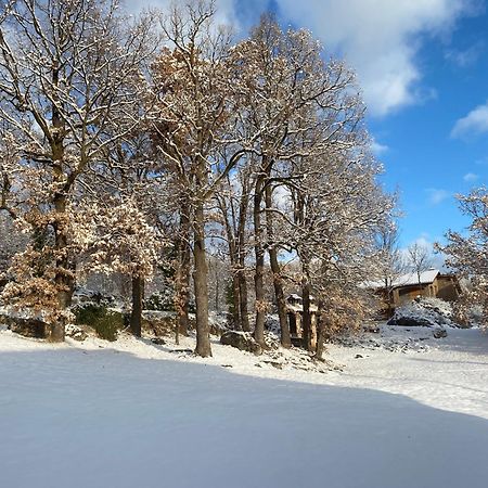 Cal Carol Appartement Vallcebre Buitenkant foto