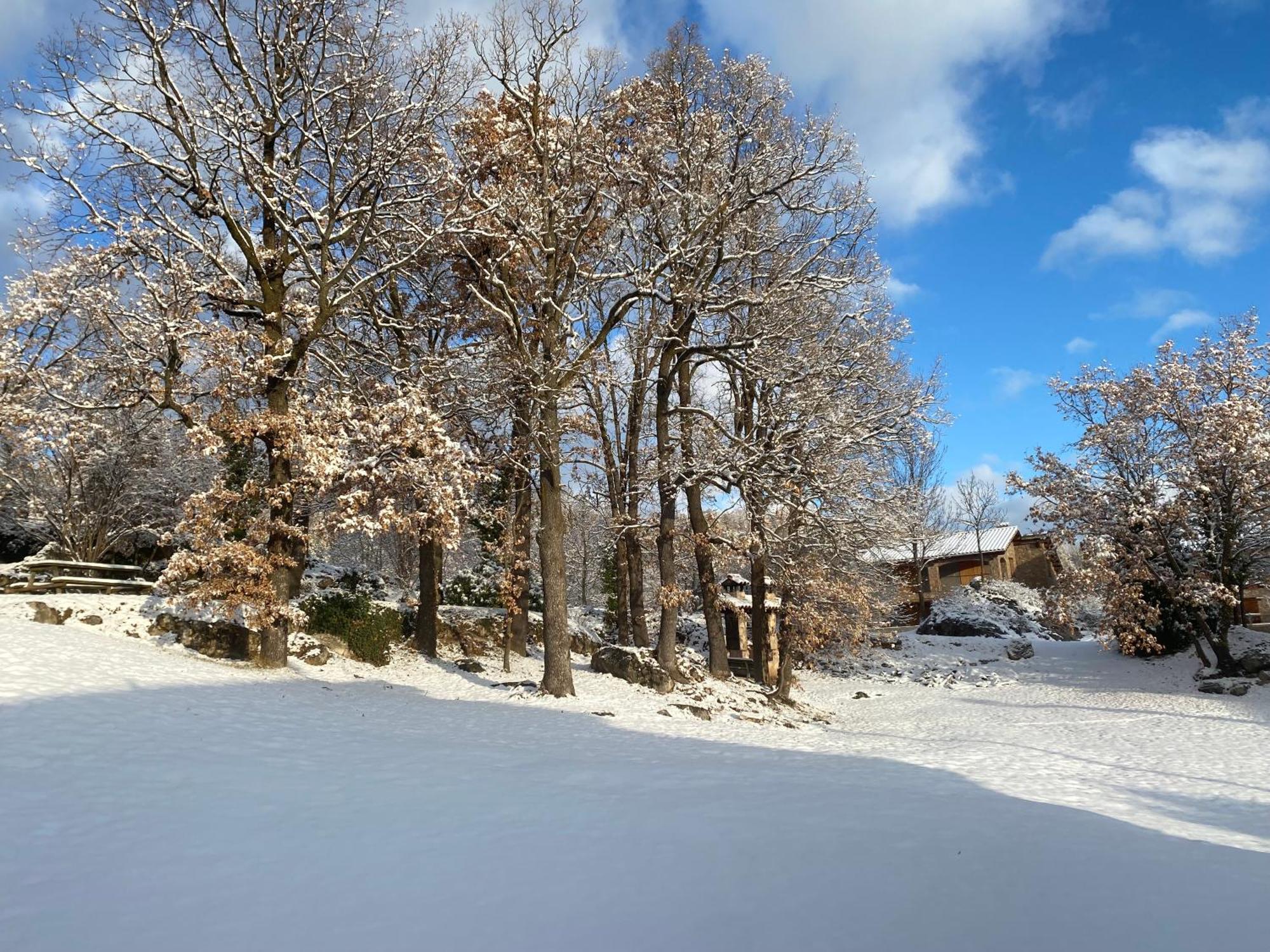 Cal Carol Appartement Vallcebre Buitenkant foto